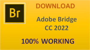 Download Adobe Bridge 2024 Full Crack – Link Google Drive