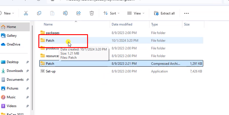 vào file kích hoạt vừa giải nén